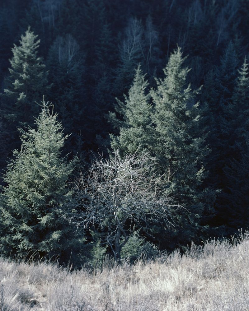 © Yang Zhou - Image from the Sites of Myths photography project