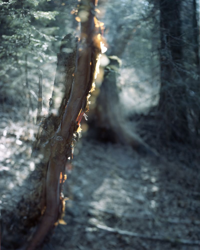 © Yang Zhou - Image from the Sites of Myths photography project