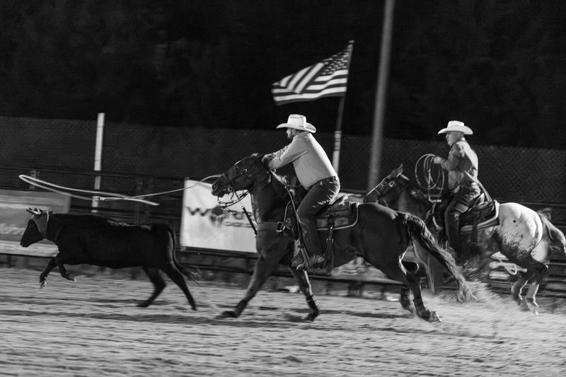 © Rian Nelson - Two cowboys chase after a steer, the goal to get one rope around its head or horns and another around its back leg.