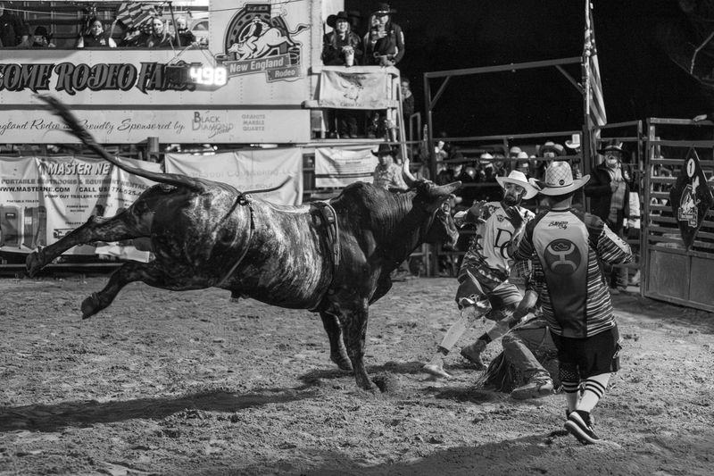 © Rian Nelson - Two bull fighters distract an oncoming bull before it can trample a prone bull rider.