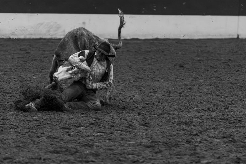 © Rian Nelson - A cowboy wrestles a steer to the ground at the Shawn Dubie Memorial Rodeo in Cheyenne, Wyoming.