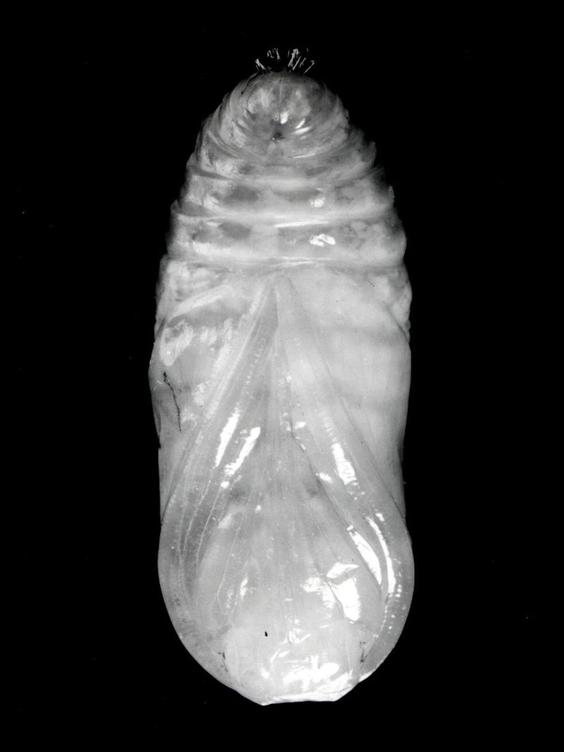 © Chiara Benzi - Image from the Endure photography project