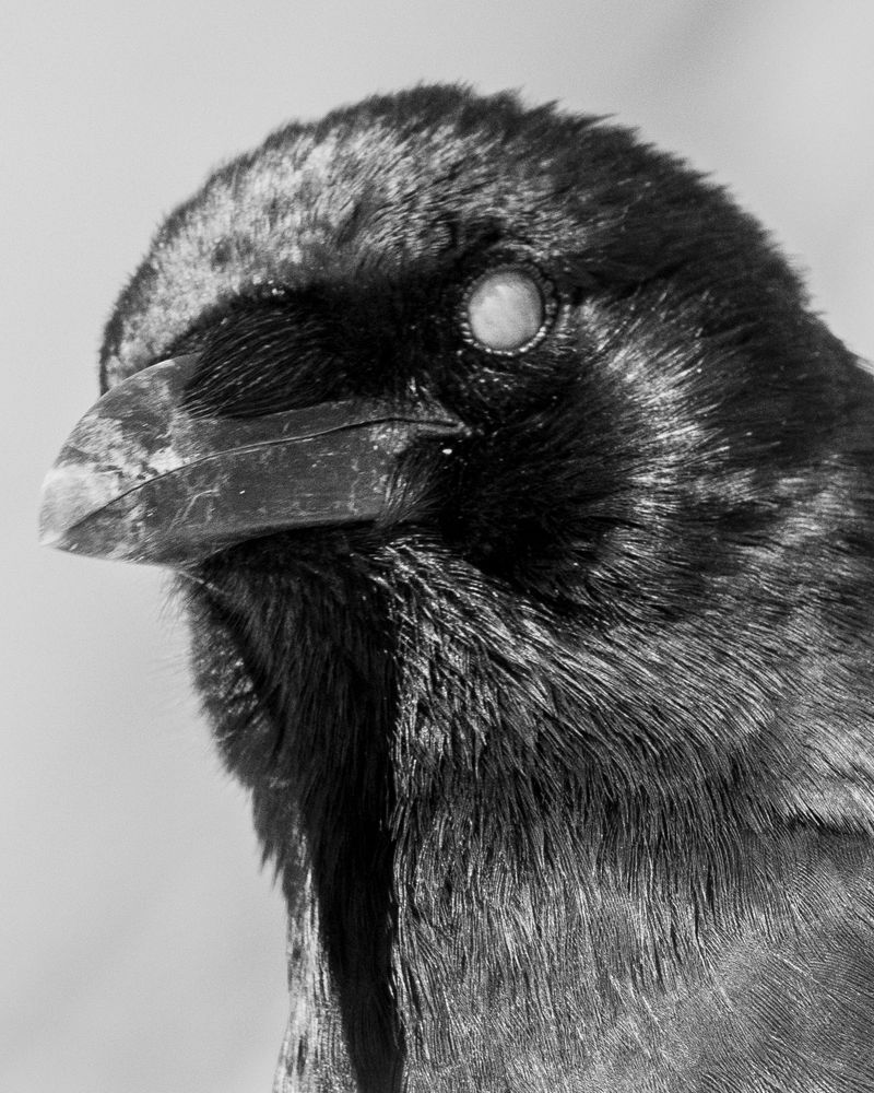 © Chiara Benzi - Image from the Endure photography project