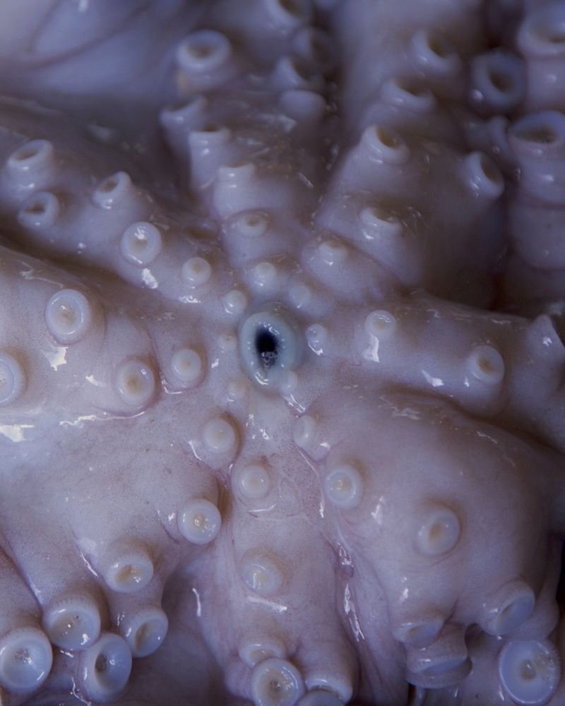 © Chiara Benzi - Image from the Endure photography project