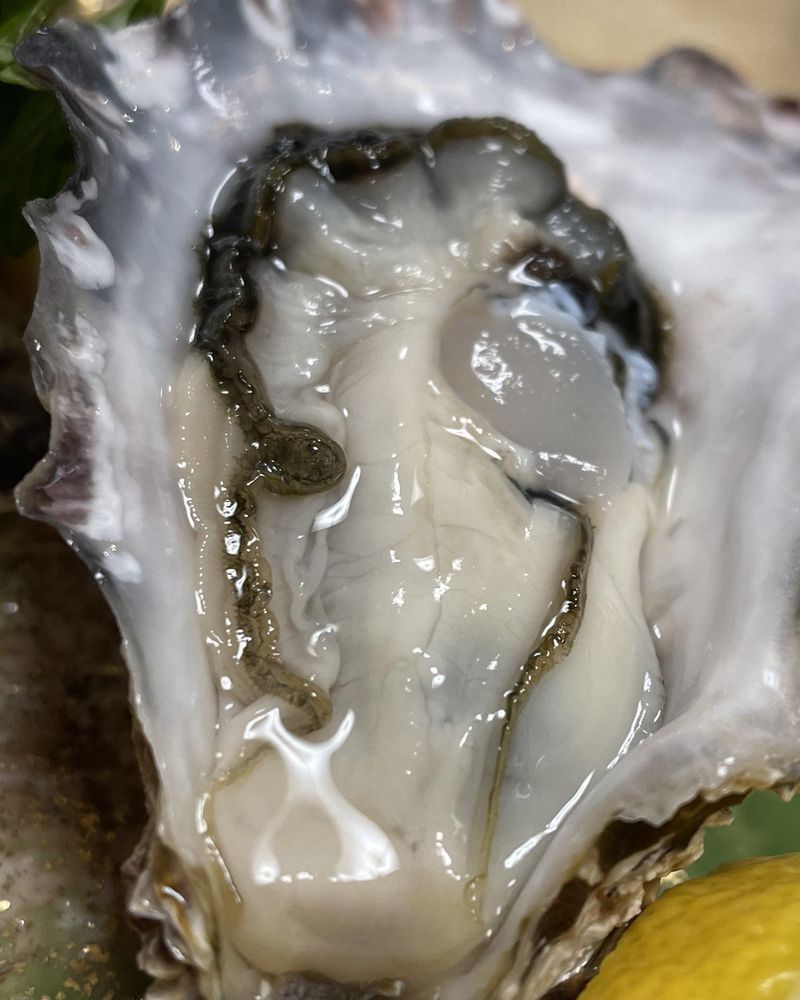 © Chiara Benzi - Image from the Endure photography project