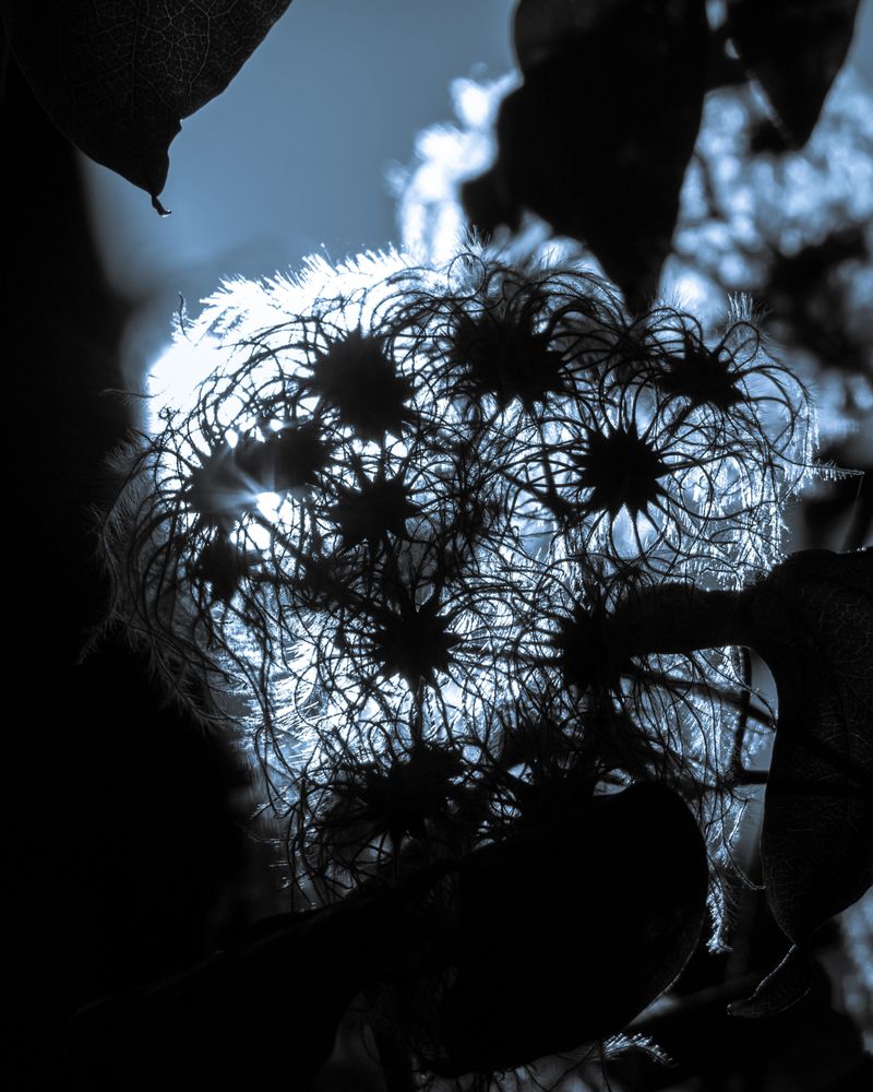 © Chiara Benzi - Image from the Endure photography project