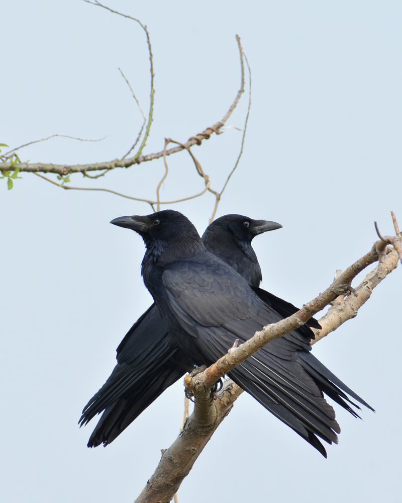 © Chiara Benzi - Image from the Endure photography project