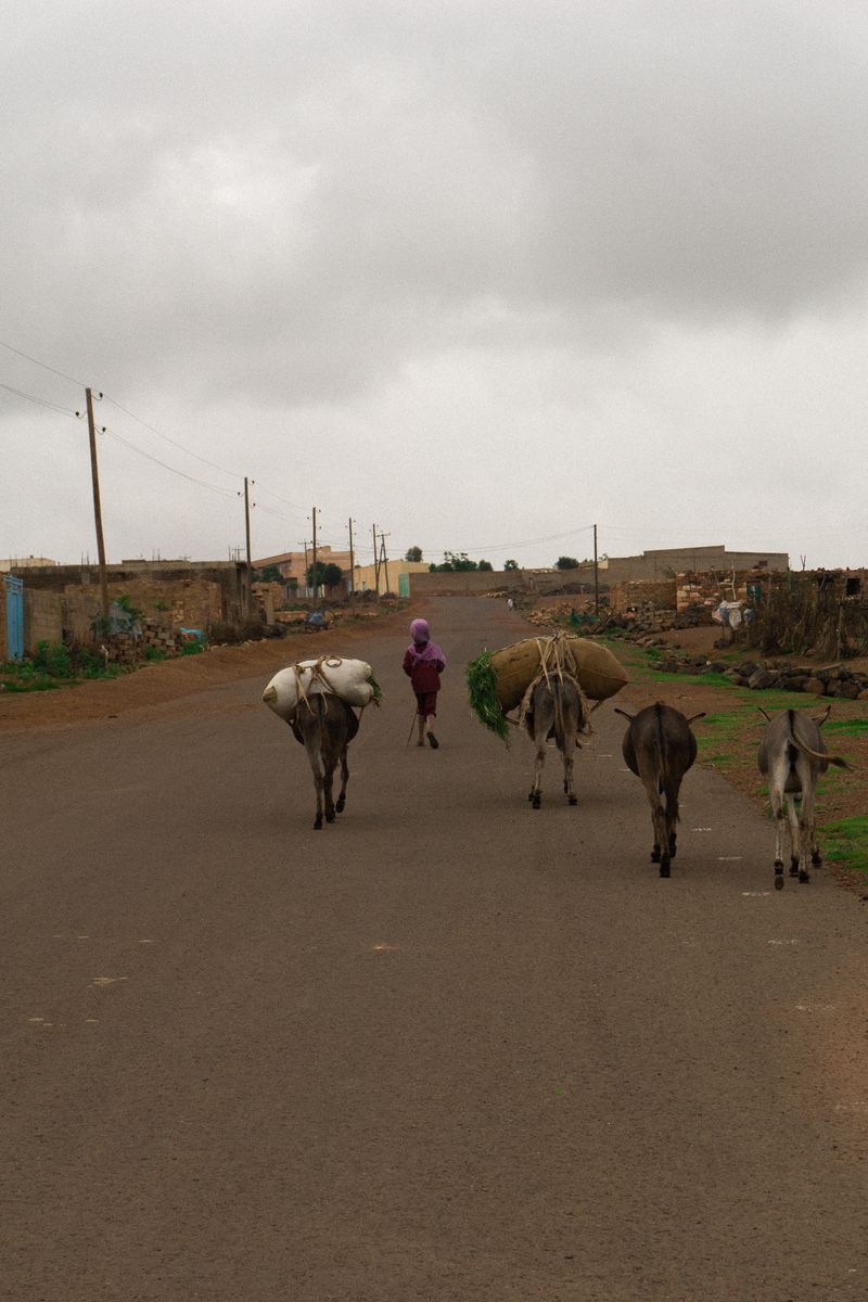 © Akberet Johanna Ghebray - Himbirti / Eritrea - the hometown of my father