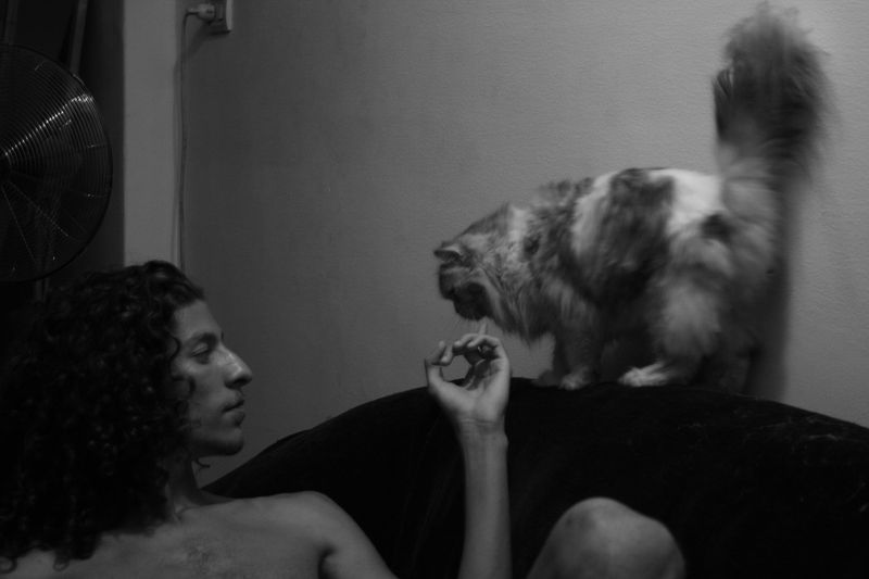 © Inès Sanad - Feline