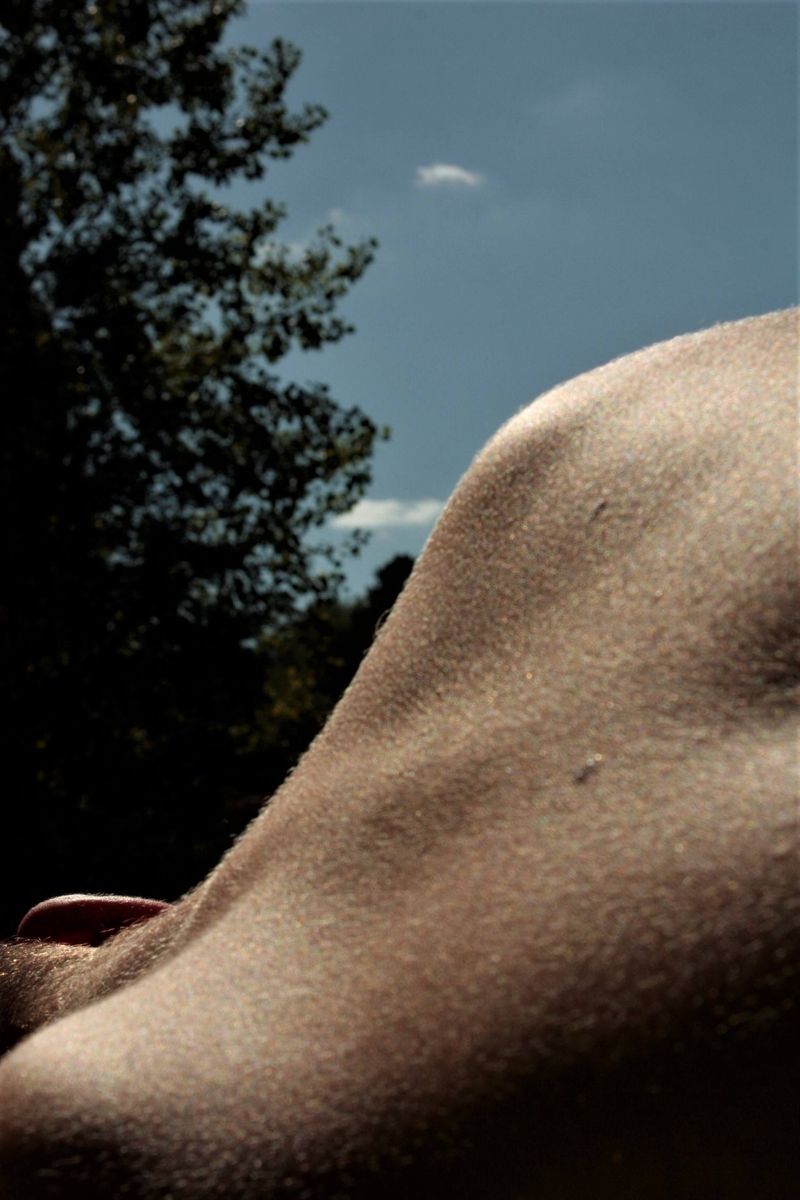 © Inès Sanad - Detail