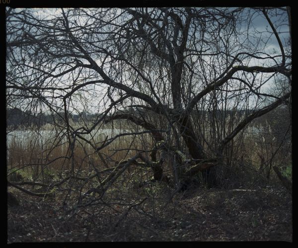 © Laima Arlauskaitė - Image from the What The Water Gave Us: Code Blue photography project