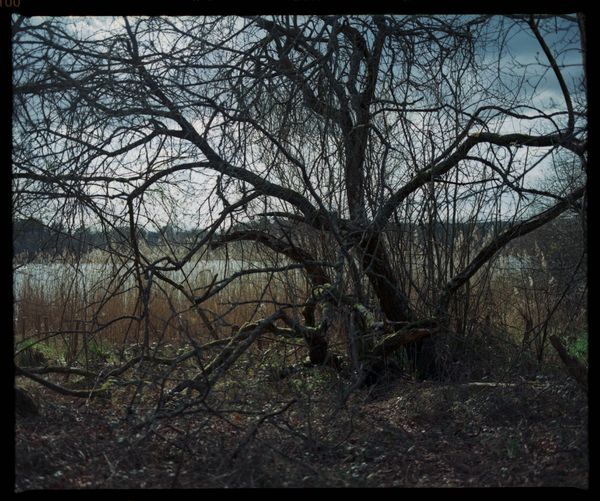 © Laima Arlauskaitė - Image from the What The Water Gave Us: Code Blue photography project