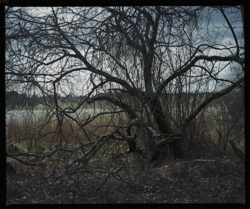 © Laima Arlauskaitė - Image from the What The Water Gave Us: Code Blue photography project