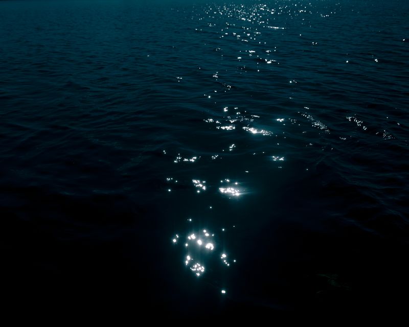 © Laima Arlauskaitė - Euphoros IV