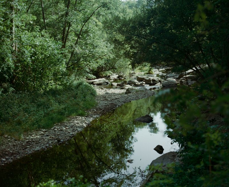 © Laima Arlauskaitė - Euphoros VIII