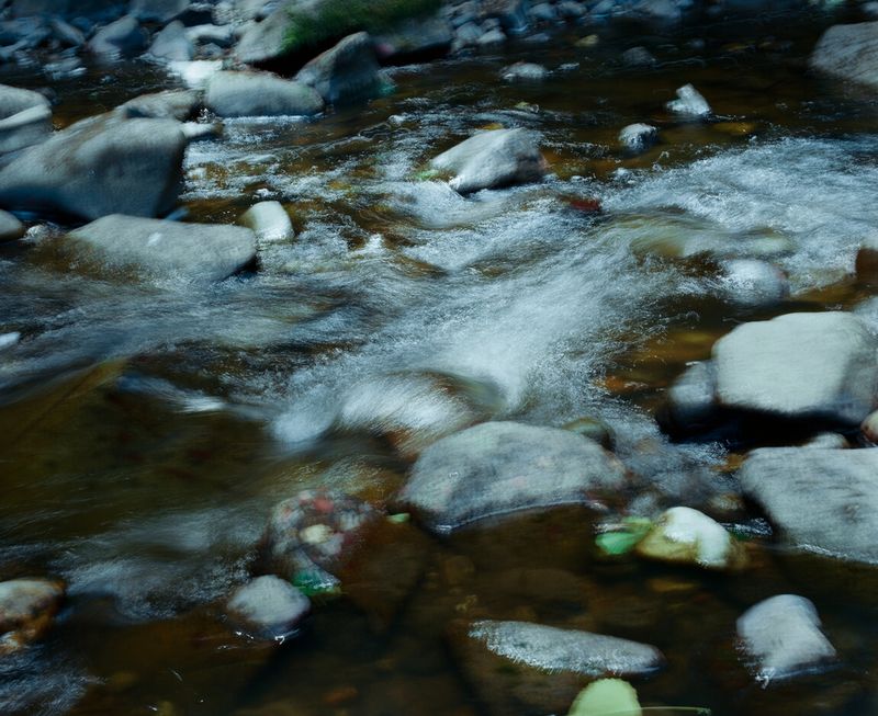 © Laima Arlauskaitė - Euphoros VI