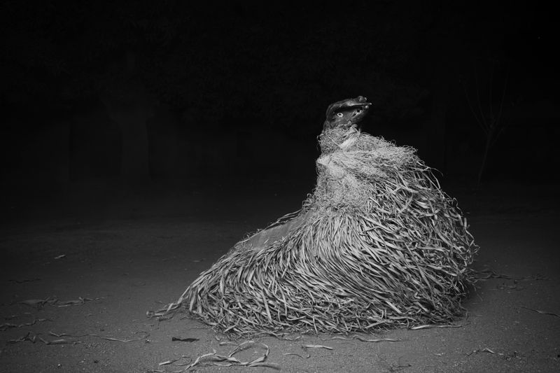 © Bantu Collective - Nyiam Aduku I