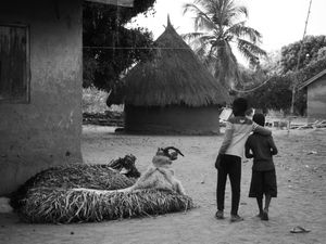 Kwagh-Hir : Something Magical