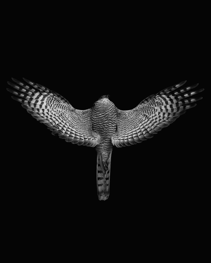 © Riccardo Androni - Image from the riconoscersi attimi sospesi di fragilità in divenire disturba photography project