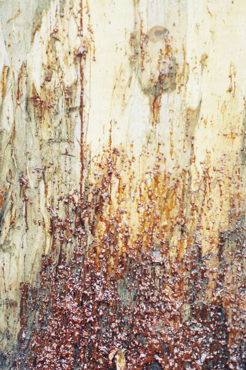 © Gemma Raso - Image from the a cartographer's perception photography project