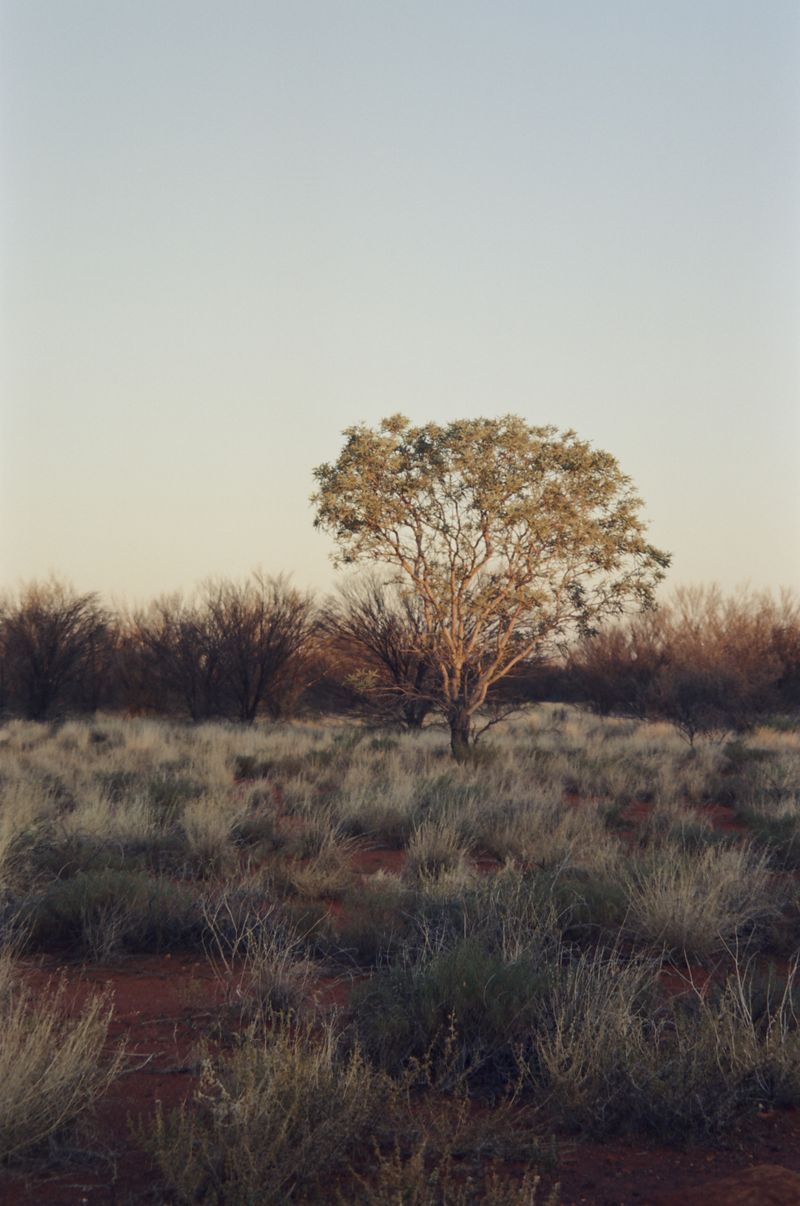 © Gemma Raso - Image from the a cartographer's perception photography project