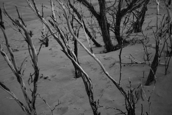 © Gemma Raso - Image from the a cartographer's perception photography project
