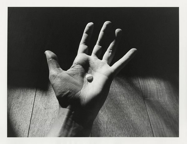 © Roxane Moreau - Holding a Baby Shell