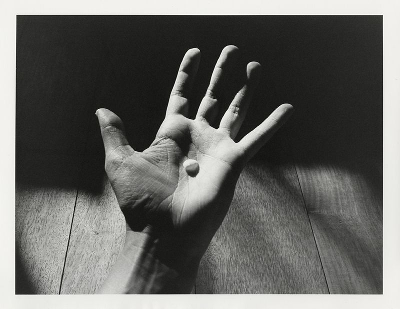 © Roxane Moreau - Holding a Baby Shell