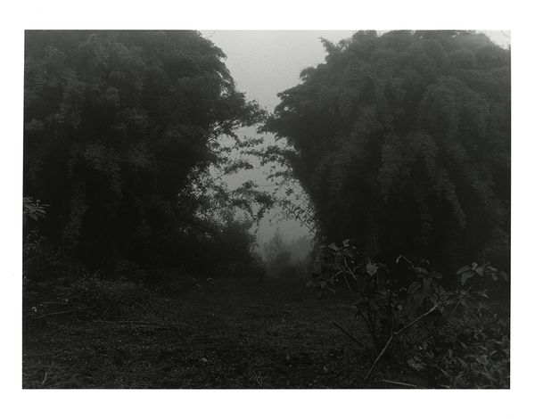 © Roxane Moreau - Foggy Thoughts