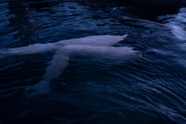 © Jenný Mikaelsdóttir - Image from the Hlýja Kuldans (Warmth of the Cold) photography project