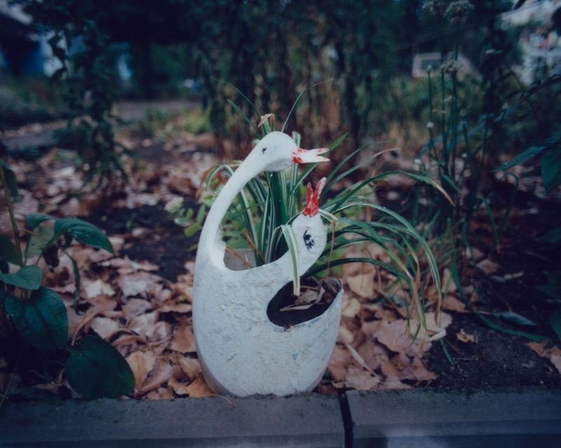 © shelestvetrovki - Image from the The Earth She Tends photography project