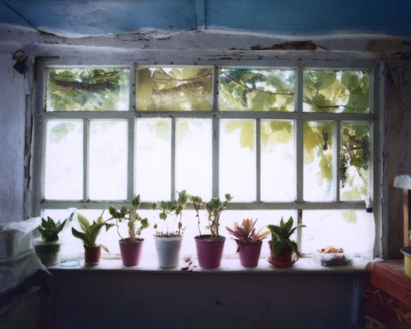 © shelestvetrovki - Image from the The Earth She Tends photography project