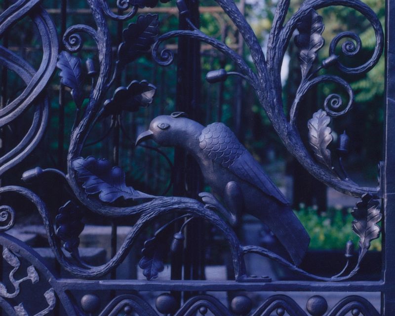 © shelestvetrovki - Image from the The Earth She Tends photography project