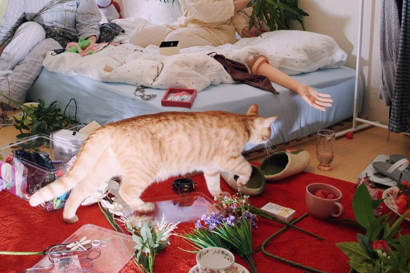 © shelestvetrovki - Image from the she is so hot i wanna clean her room photography project