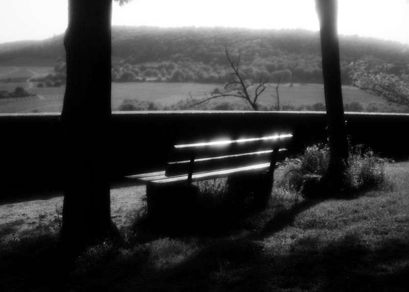 © Ola Skowrońska - Image from the Heda photography project