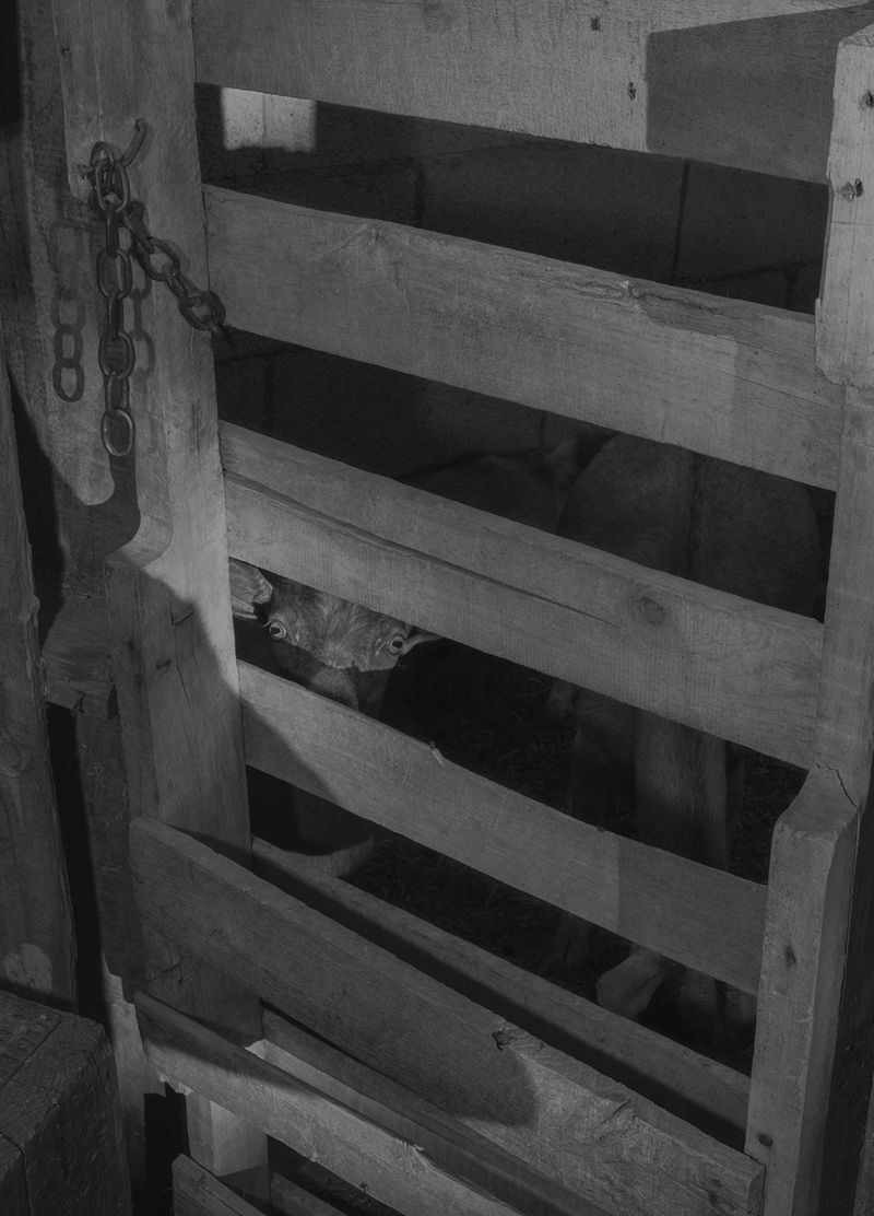 © Vera Saldivar - Image from the Entre dos Tierras photography project