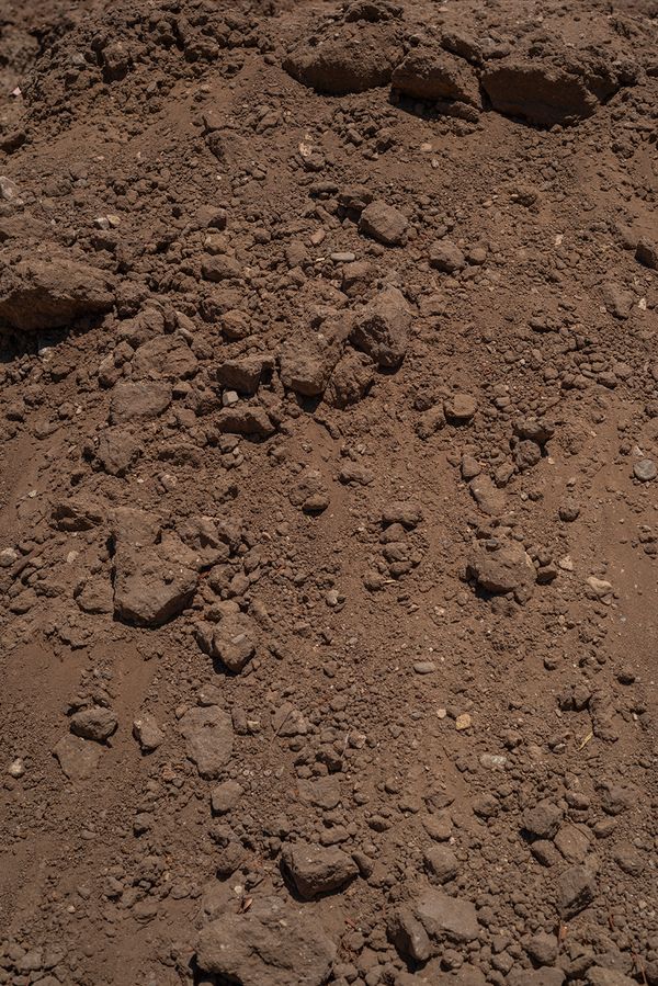 © Vera Saldivar - Image from the Entre dos Tierras photography project