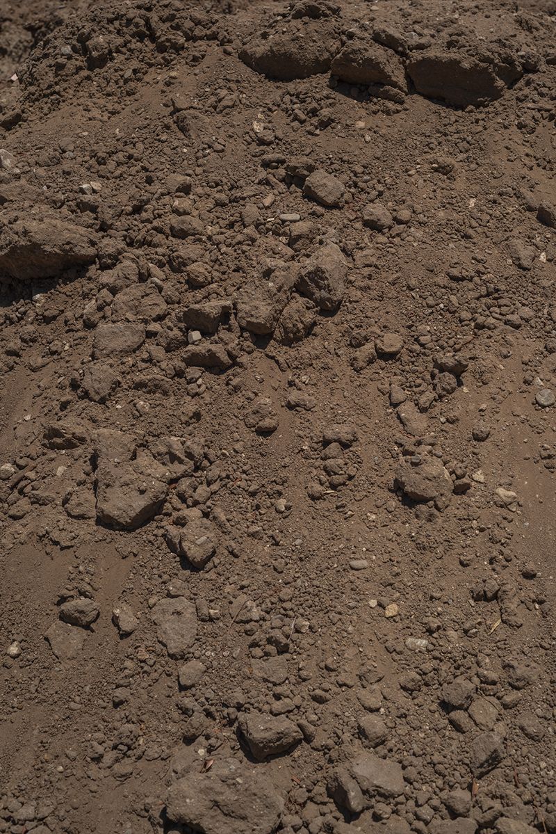 © Vera Saldivar - Image from the Entre dos Tierras photography project