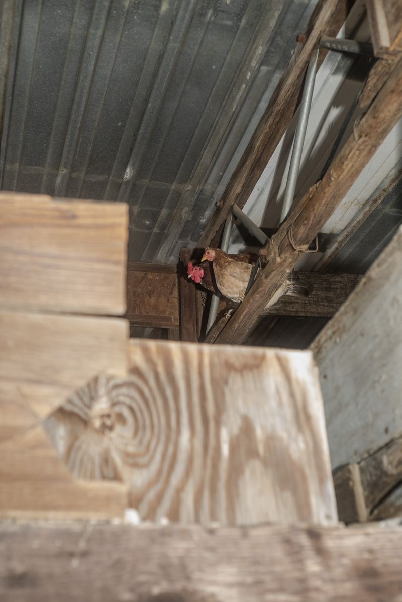 © Vera Saldivar - Image from the Entre dos Tierras photography project