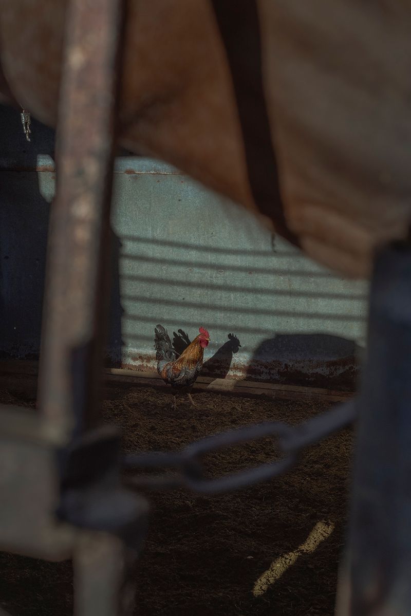 © Vera Saldivar - Image from the Entre dos Tierras photography project