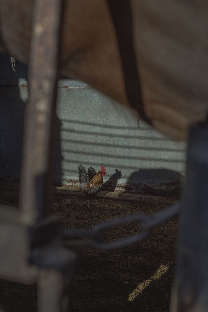 © Vera Saldivar - Image from the Entre dos Tierras photography project