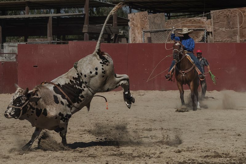 © Vera Saldivar - Image from the Entre dos Tierras photography project