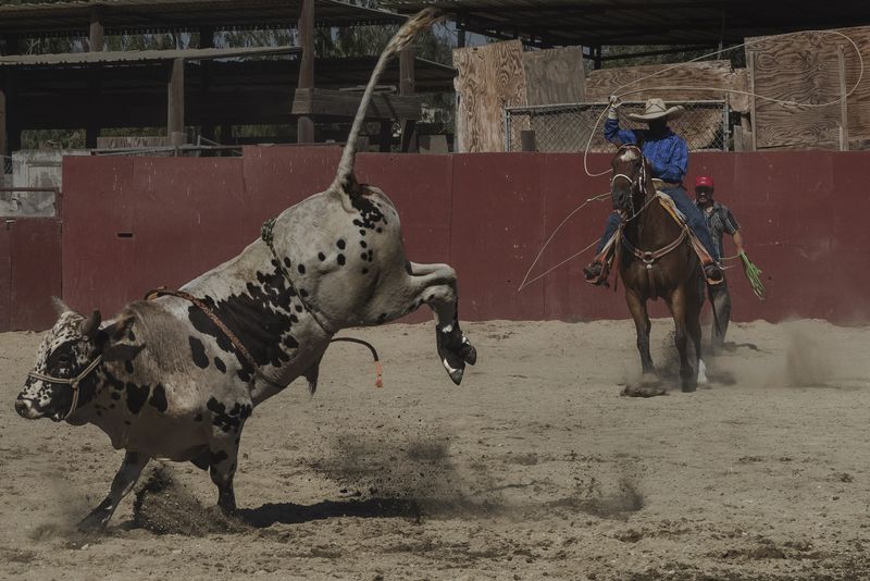 © Vera Saldivar - Image from the Entre dos Tierras photography project