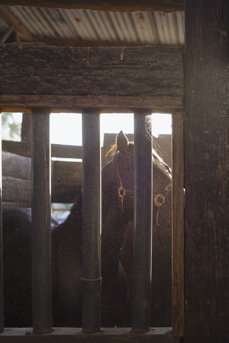 © Vera Saldivar - Image from the Entre dos Tierras photography project