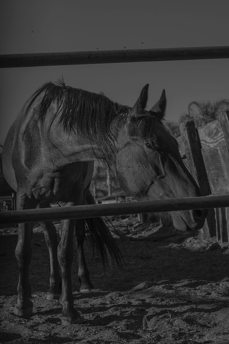 © Vera Saldivar - Image from the Entre dos Tierras photography project