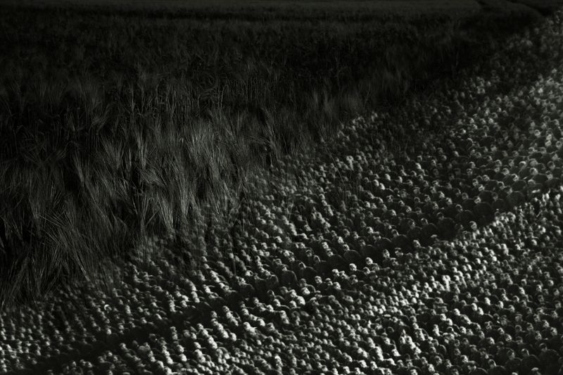 © Barbara Diener - Image from the The Rocket's Red Glare photography project