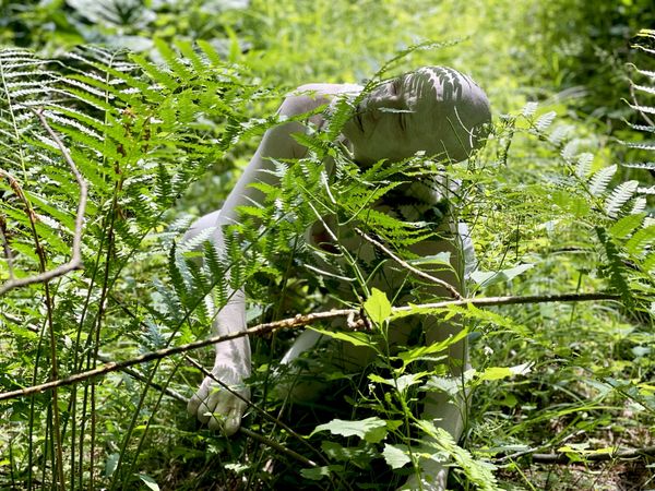 © Cynthia Penter - Image from the Two Beauties. Each, One With Nature. photography project