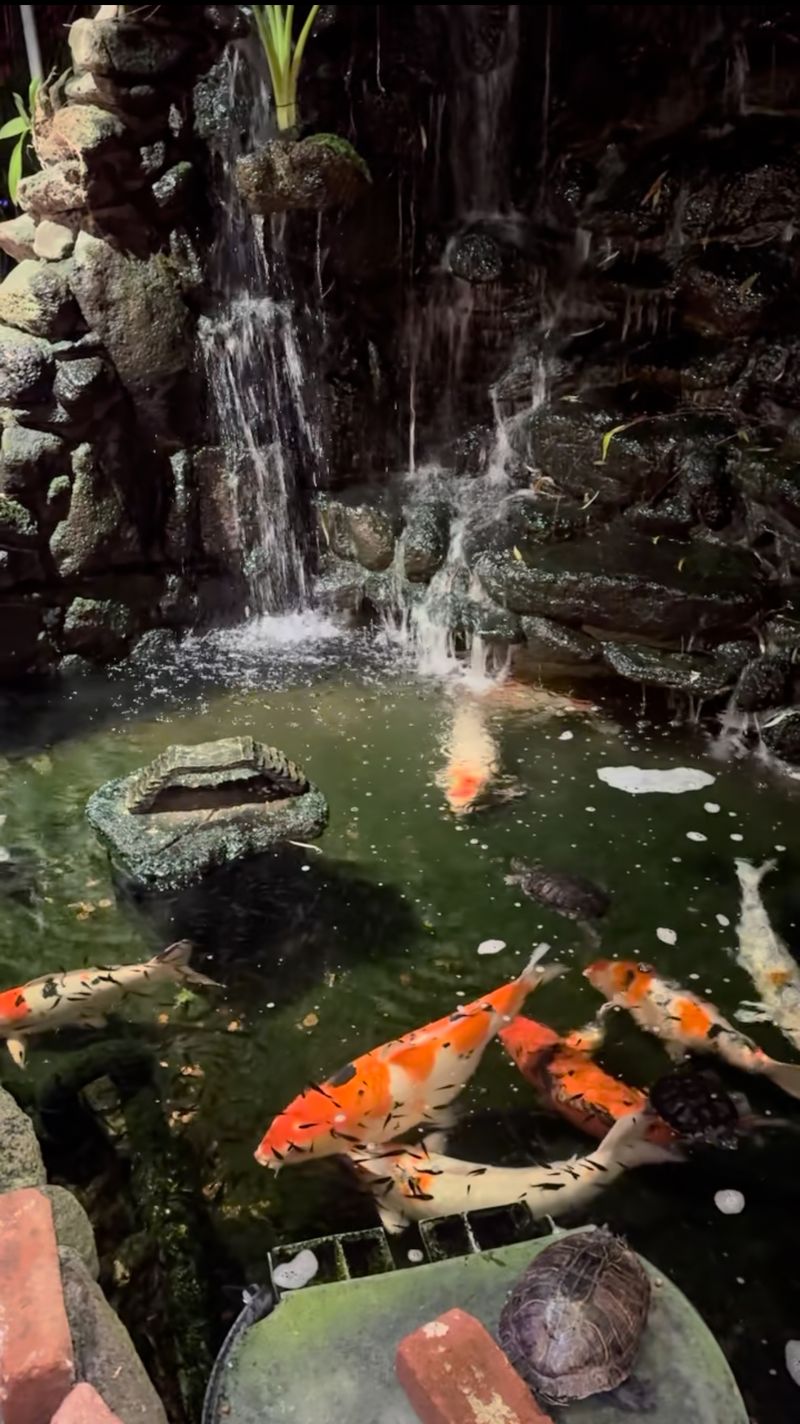 © Cynthia Penter - So Koi