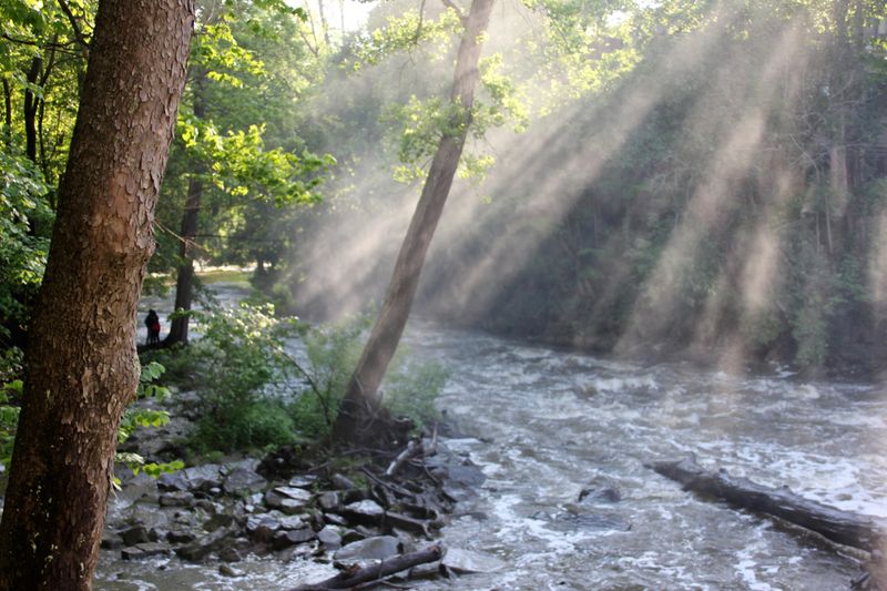 © Cynthia Penter - River Light, Chagrin Falls