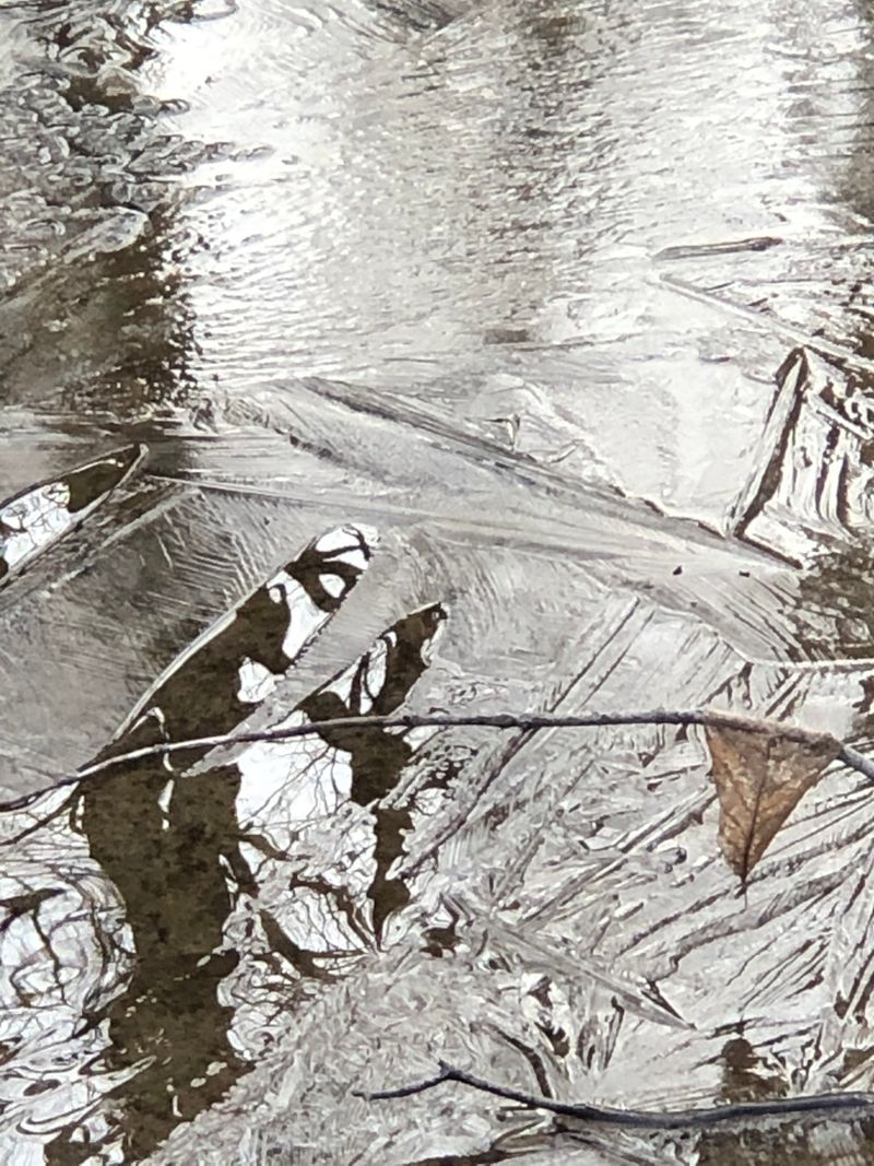 © Cynthia Penter - Ice Patterns